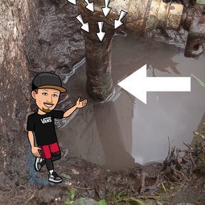 Meet your Posher, Jack